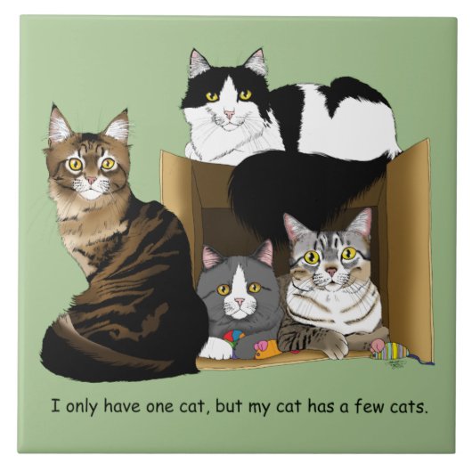 Meine Katze hat Katzen Fliese (Vorderseite)