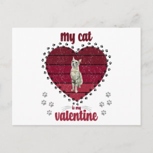 Meine Katze ist mein Valentine Postkarte