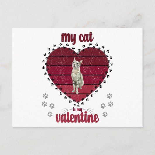 Meine Katze ist mein Valentine Postkarte (Vorderseite)