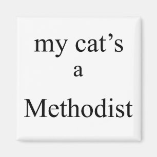 Meine Katze ist Methodist Magnet