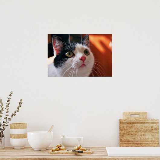 Meine Katze Poster (Küche)
