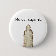 Meine Katze sagt Hallo...
