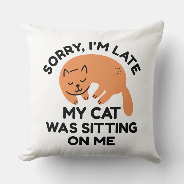 Meine Katze saß auf mir Kissen (Vorderseite)