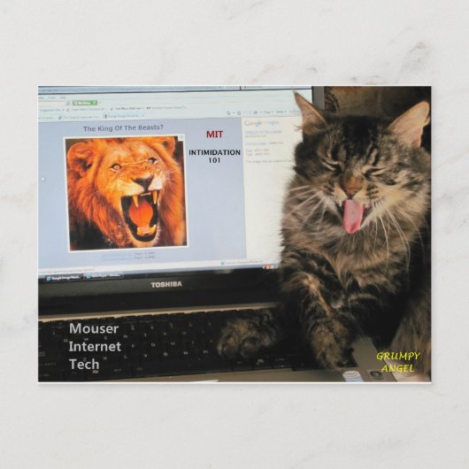 Meine Katze studiert am MIT Mouser Internet Tech Postkarte (Vorderseite)