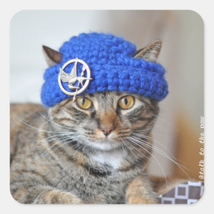 Meine Katze trägt Hüftaufkleber Quadratischer Aufkleber