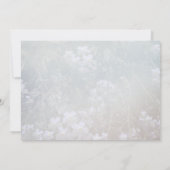 Meine Katze und ich haben die Ankündigung verschob (Rückseite)