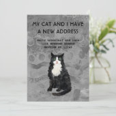 Meine Katze und ich haben die Ankündigung verschob (Stehend Vorderseite)