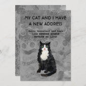 Meine Katze und ich haben die Ankündigung verschob (Vorne/Hinten)