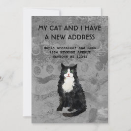 Meine Katze und ich haben die Ankündigung verschob