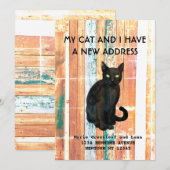 Meine Katze und ich haben die Ankündigung verschob (Vorne/Hinten)