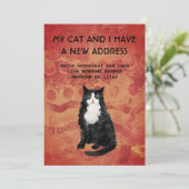 Meine Katze und ich haben die Ankündigung verschob (Stehend Vorderseite)