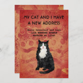 Meine Katze und ich haben die Ankündigung verschob (Vorne/Hinten)