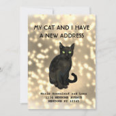 Meine Katze und ich haben die Ankündigung verschob (Vorderseite)