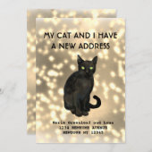 Meine Katze und ich haben die Ankündigung verschob (Vorne/Hinten)