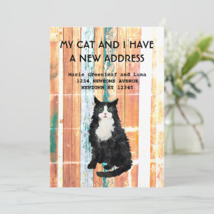 Meine Katze und ich sind umgezogen Ankündigung
