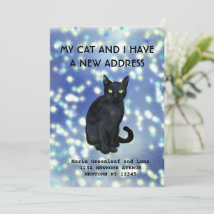 Meine Katze und ich sind umgezogen Bekanntmachung Ankündigung