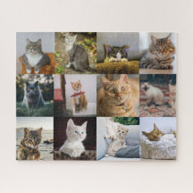 Meine Katzen-FotoCollage auf
