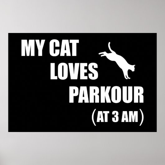 Meine Katzen Lieben Parkour (03.00 Uhr) Funny Cat  Poster (Vorne)