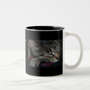 Meine Kinder alle haben Tatzen! Katzen-Tasse Zweifarbige Tasse