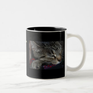Meine Kinder alle haben Tatzen! Katzen-Tasse Zweifarbige Tasse