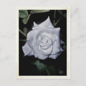 Meine kleine blaue Prinzessin Postkarte (Vorderseite)