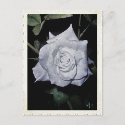 Meine kleine blaue Prinzessin Postkarte (Vorderseite)