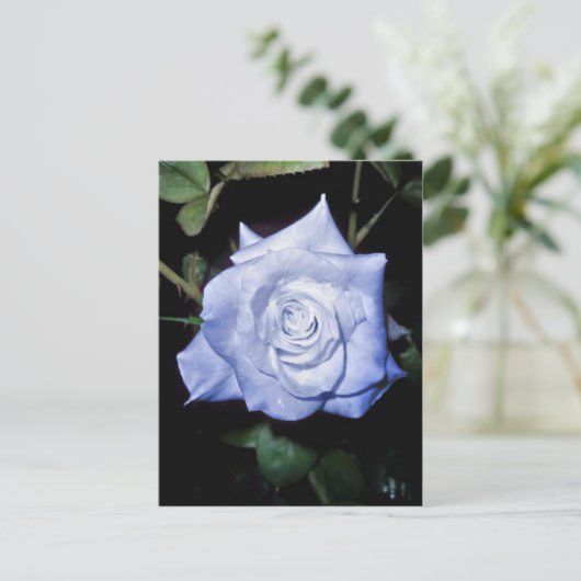 Meine kleine Prinzessin Postkarte (Stehend Vorderseite)