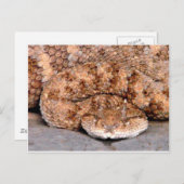 Meine kleine Viper Postkarte (Vorne/Hinten)