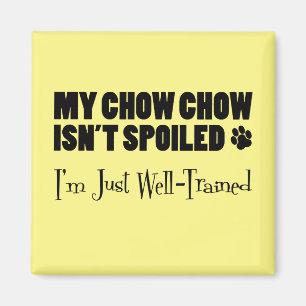 Meine Kunstrasenkasse ist nicht verwischt, ich bin Magnet