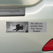 Meine Labradore sind intelligenterer Autoaufkleber (Auf Auto)