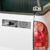 Meine Labradore sind intelligenterer Autoaufkleber (Auf Lkw)
