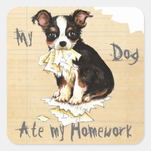 Meine lange Coat Chihuahua Ate Meine Hausaufgaben Quadratischer Aufkleber
