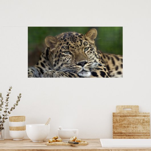 Meine letzten Tage auf Erden... Poster (Küche)