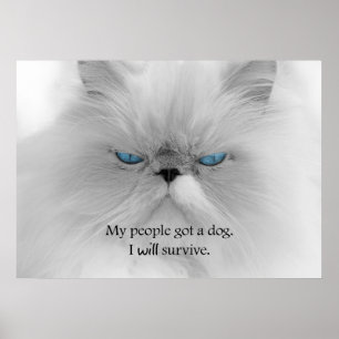 Meine Leute haben einen Hund Got. Ich werde überle Poster