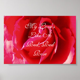 Meine Liebe ist wie eine rote Rote Rose Poster