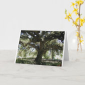 Meine LieblingsEiche Karte (Gelbe Blume)