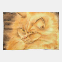 Meine Lieblingskatze