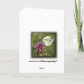 Meine Mädchen-Spitz-Gruß-Karte Karte (Rückseite)