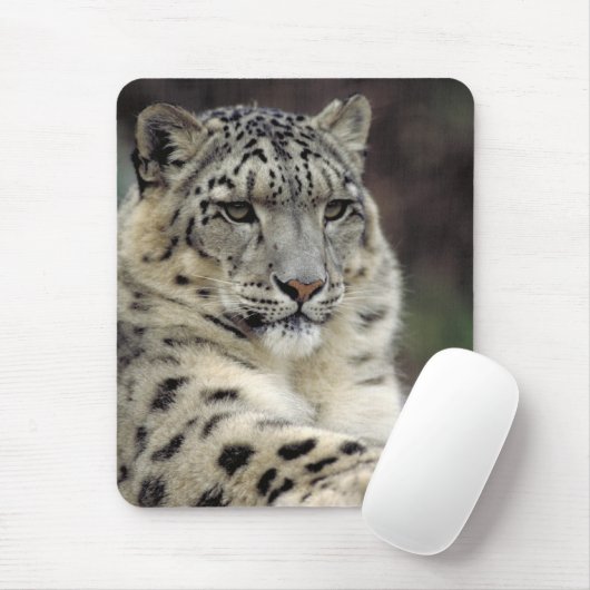 Meine Maus… Mousepad (Mit Mouse)