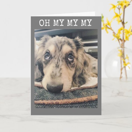 MEINE MEINE GEDANKENKARTE ***16** KARTE (Gelbe Blume)