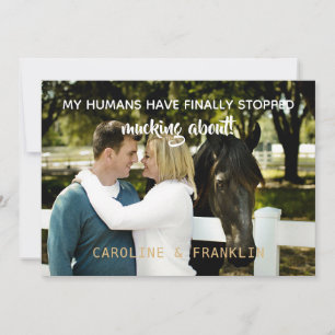 Meine Menschen haben aufgehört, über Verlobung zu Einladung