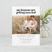 Meine Menschen heiraten gerne Weihnachten Einladung (Stehend Vorderseite)