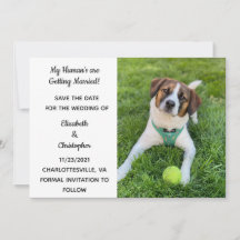 Meine Menschen heiraten Hunde-Foto Save The