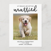 Meine Menschen heiraten Save the Date Hund Ankündigungspostkarte (Vorderseite)