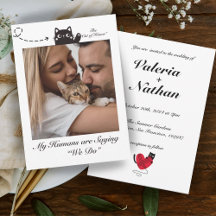 Meine Menschen sind Sprichwort, das wir Katzenjamm