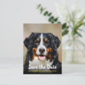 Meine Menschen werden verheiratet | Hund Save the Postkarte (Stehend Vorderseite)