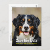 Meine Menschen werden verheiratet | Hund Save the Postkarte (Vorne/Hinten)