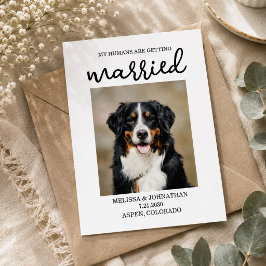 Meine Menschen werden verheiratet | Hund Save the Postkarte