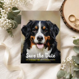 Meine Menschen werden verheiratet | Hund Save the Postkarte