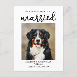 Meine Menschen werden verheiratet | Hund Save the Postkarte